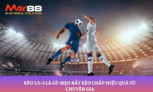 kèo 2.5-3 là gì