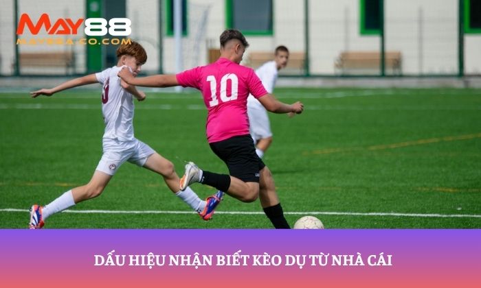 Dấu hiệu nhận biết kèo dụ từ nhà cái