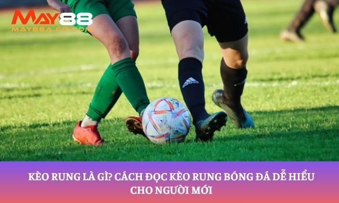 kèo rung là gì